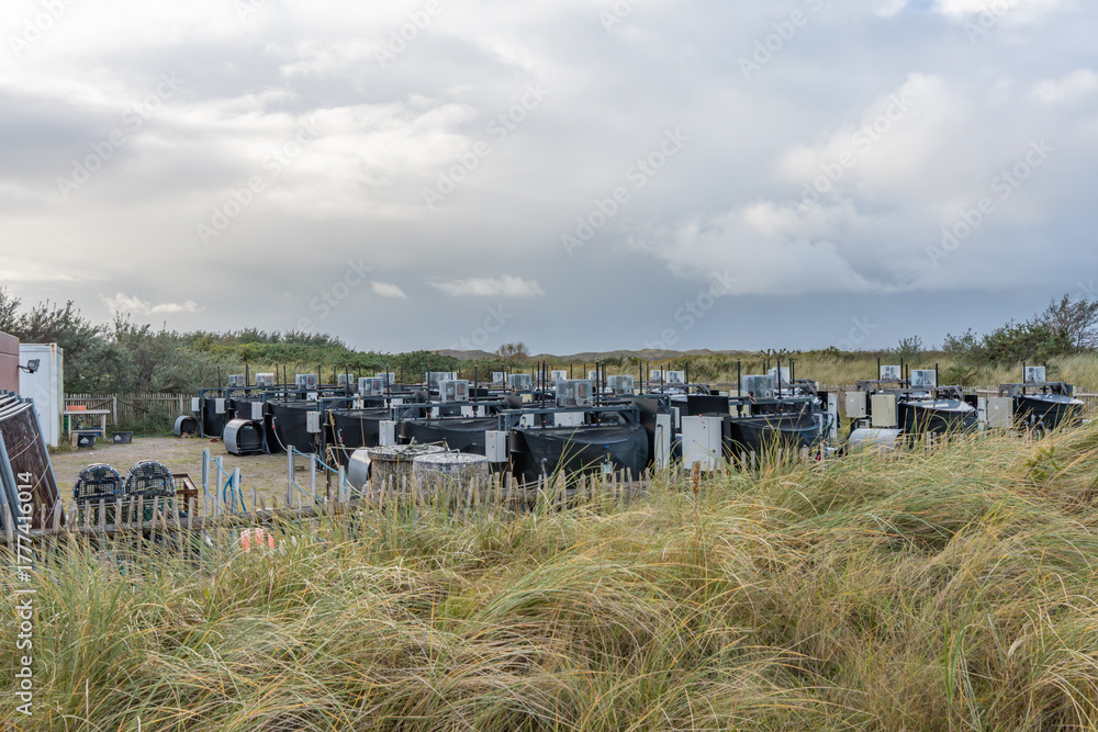 Fototapeta premium Field station with experimental setup near dunes. A research site with multiple tanks and technical units sits in a dune area. The facility studies coastal and climate effects.