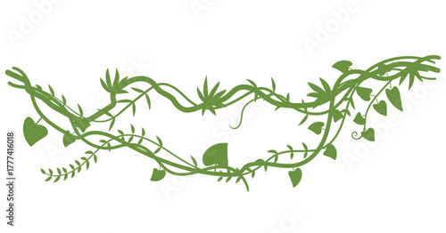 Silhouette twisted wild lianas branches illustration, jungle vine plants, tropical plant