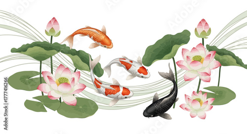 Harmony of koi fish amidst lotus flowers, a serene aquatic garden scene