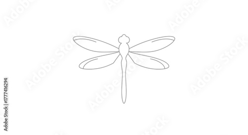 Delicate dragonfly outline with symmetrical wings on a clean white background