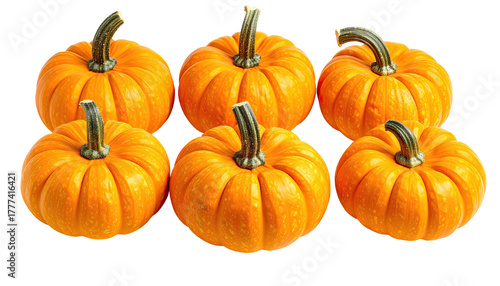 Six small pumpkins arranged in two rows