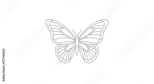 Elegant butterfly line art on a pure white background showcasing symmetrical patterns with nature