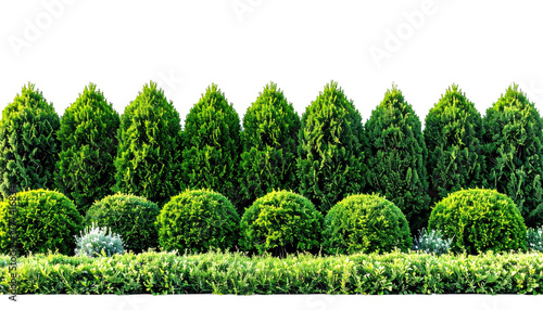 Neat, trimmed hedges and trees form a crisp green border