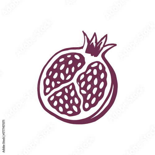 Pomegranate half with seeds, hand-drawn sketch vector