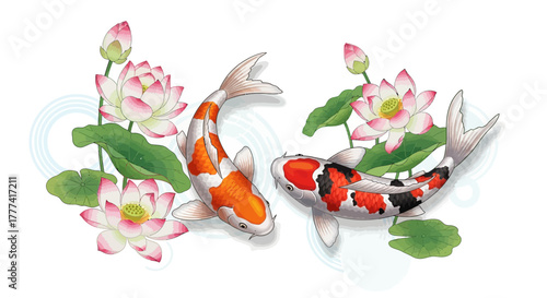 Watercolor illustration depicting graceful koi fish swimming amidst serene lotus flowers