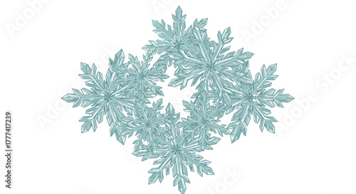 Detailed frosty snowflakes illustration isolated on a pure white background scene