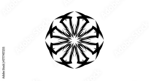 Symmetrical intricate design in black and white offering artistic expression and geometric harmony
