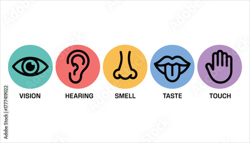Five senses icons vision hearing smell taste touch in colorful circles with black outlines vector