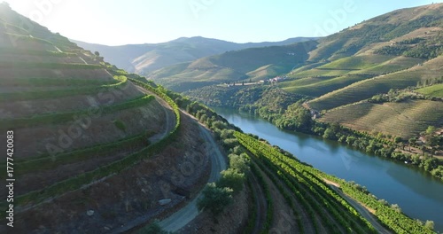 Drone view of the beautiful wine terraces in the Douro Valley, Portugal. High quality 4k footage