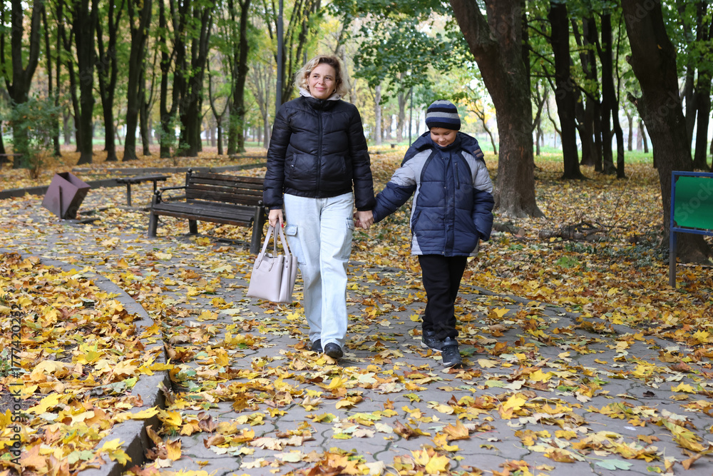 Fototapeta premium A woman and her son are walking through an autumn park, collecting yellow leaves.