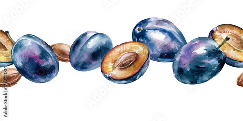 Plums, halves and whole purple fruits with pits hand drawn watercolor illustration. Isolated on white seamless border of ripe fresh juicy prunes for food, harvest, garden, rustic, farm design, banners