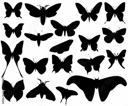 Butterfly Silhouettes Vector ...