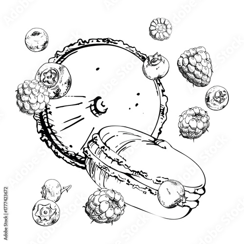 French macarons, Whoopie pies, scattered ripe raspberries and blueberries. Vector ink isolated hand drawn culinary design. Menu graphics, sweet shop branding, party printables, kitchen wall decor.