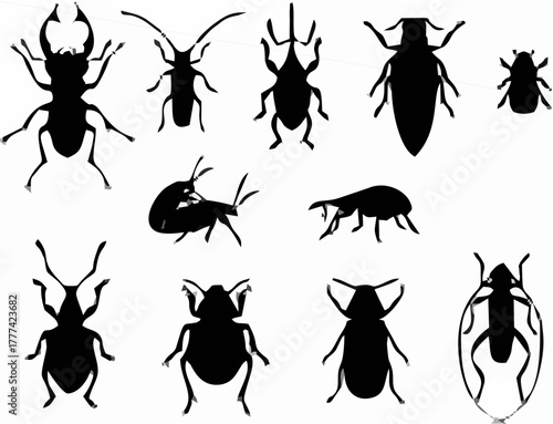 Diverse Beetle Collection Vec...