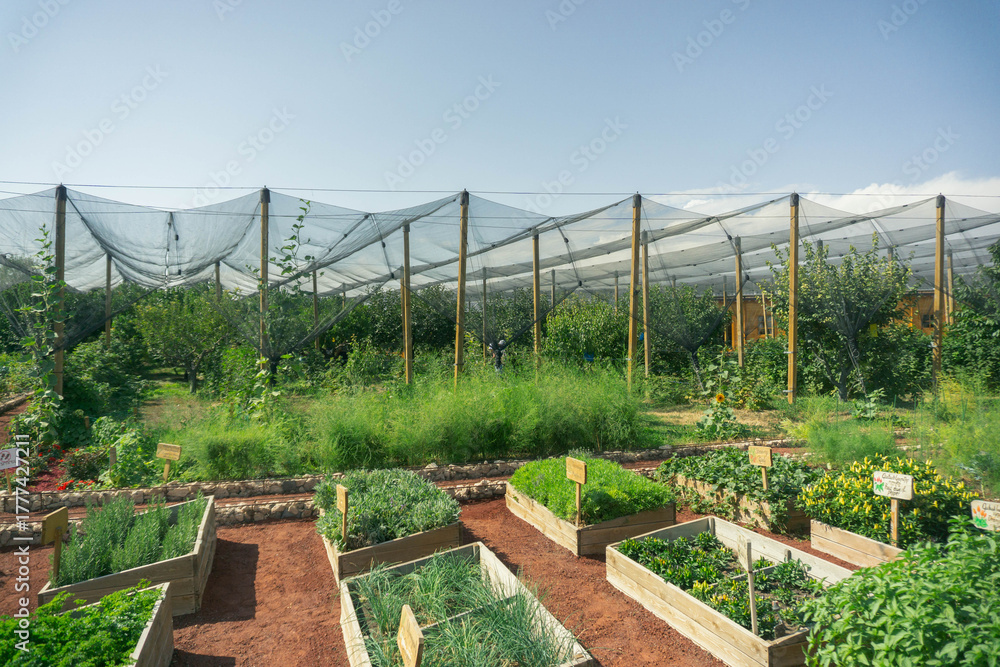 Obraz premium Organic Farm Raised Garden Beds Shade Cloth Sustainable Agriculture Vegetable Garden