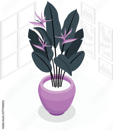 Potted plant with large leaves and pink flowers indoors houseplant indoor plant