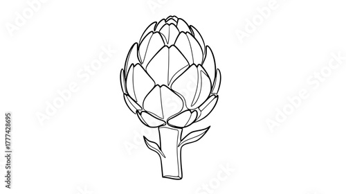Continuous line art of an artichoke minimalist vegetable outline design