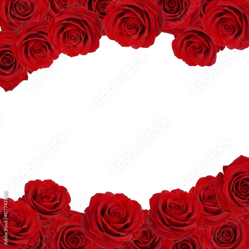 Frame of deep red roses isolated on transparent background