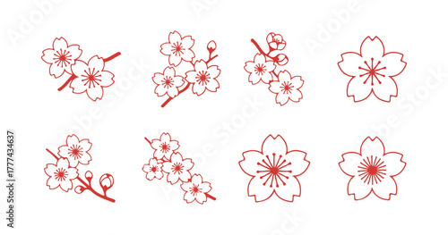 Cherry blossom symbols, sakura symbols, Japanese flower, collection of 12