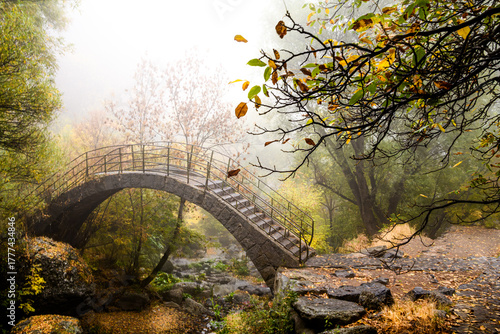 nebbie autunnali 02 - ponte in pietra e alberi dai colori autunnali fra velature e foschia