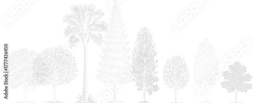 Collection of diverse trees depicted as line art illustrations with varying foliage and trunk structures against a white background. Architectural Drawings
