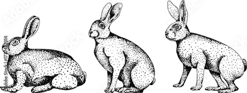 Vector elements of traditional English horse hunting. Hunting prey, rabbit