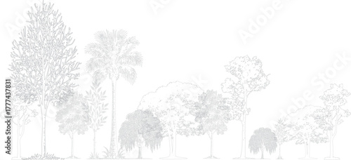 Line art illustration of diverse trees including a palm tree and deciduous trees with detailed foliage and trunks on a white background. Architectural Drawings
