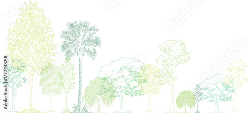 line art illustration of various trees in shades of green and yellow on a white background nature. Architectural Drawings