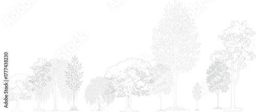 collection of diverse trees and plants rendered in a detailed line art style against a white background. Architectural Drawings
