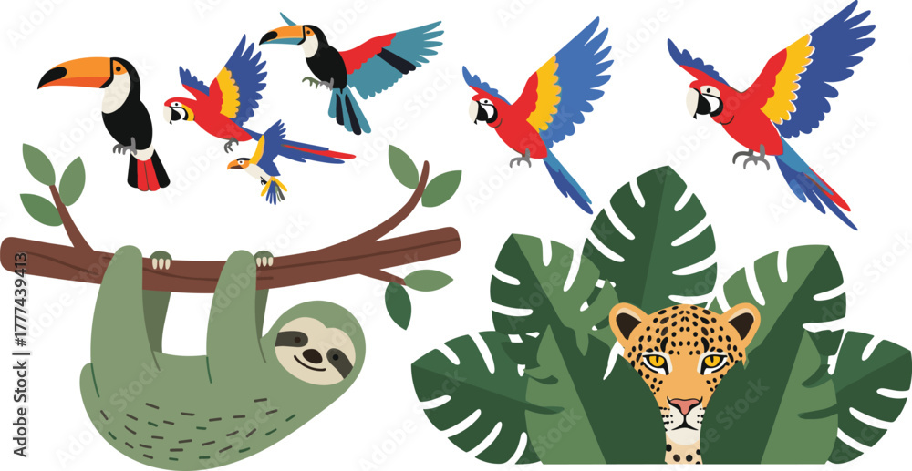 Obraz premium Colorful tropical jungle wildlife illustration, exotic birds flying, sloth hanging on tree branch, leopard hiding behind leaves, rainforest nature animals, vector art