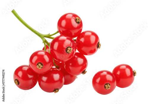 Fotografie Isolated bunch of vibrant red currant berries with a sprig on a clean background