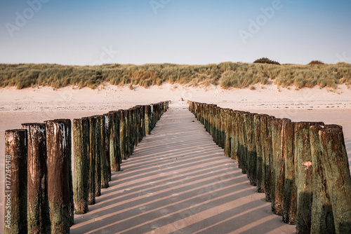 Wooden groynes casting long shadows on the sandy beach of Vlissingen during a golden sunset, with calm sea waves and a clear horizon creating a peaceful and tranquil coastal scene