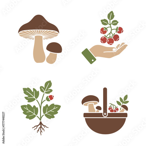 Mushroom and Berry Foraging Icons Set.