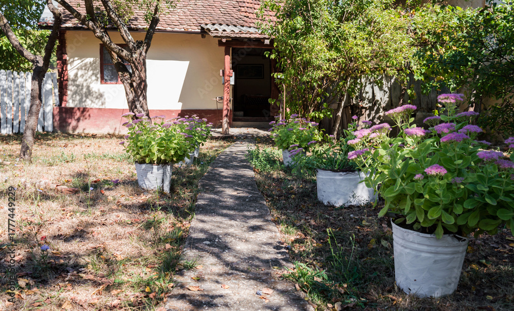 Fototapeta premium Traditional old country house with green garden. Beautiful country yard with green grass, green trees and flower pots in spring or summer season. Picturesque rustic landscape