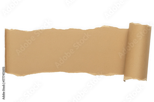 Torn paper banner with curl