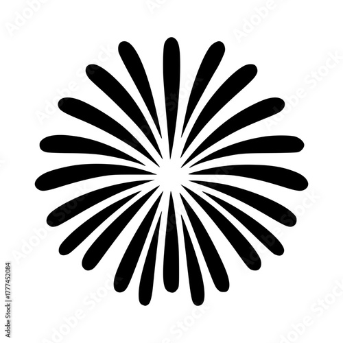 black firework silhouette vector