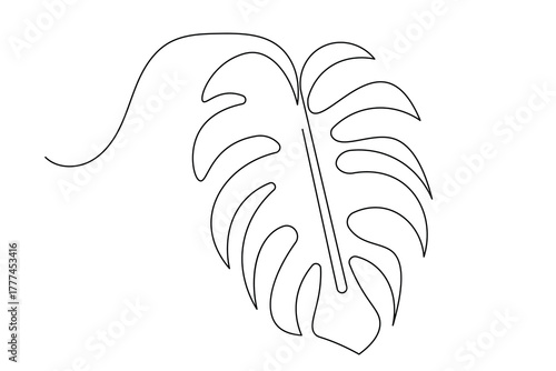 Elegant monstera leaf continuous one line minimalist art design