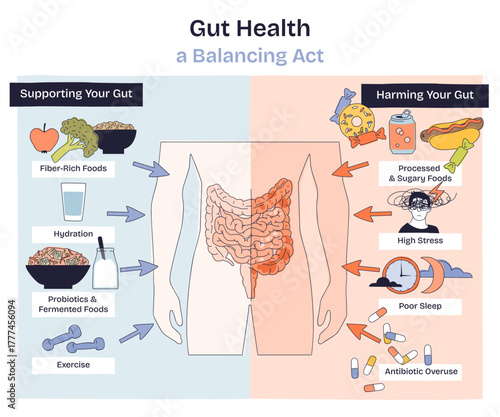 Gut health balancing act contrasts habits that support or harm the microbiome, intestines centered with arrows and foods guiding choices. Key objects, intestines, arrows, foods. Doodle style diagram