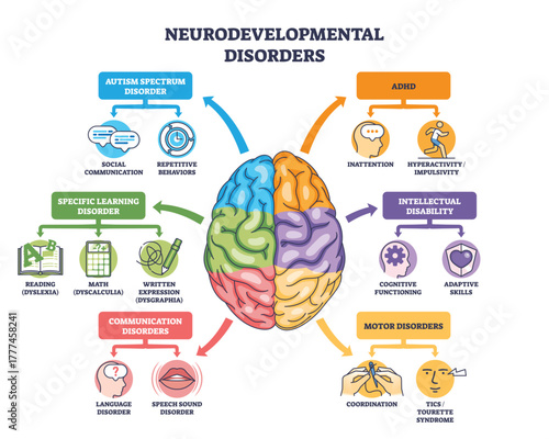 Neurodevelopmental disorders outline with a central brain linking autism, ADHD, learning and communication issues, key objects, brain, arrows, icons. Outline diagram