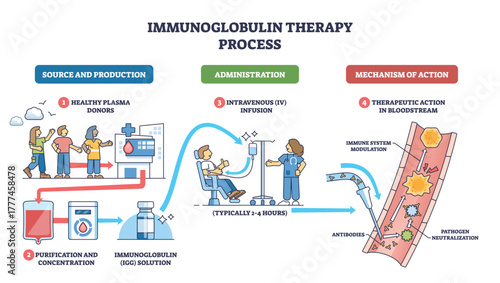 Immunoglobulin therapy process visualizes donor plasma to IV infusion and antibody action in blood, key objects, donors, IV bag, vein with antibodies. Outline diagram