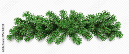 Vector realistic pine tree branches isolated on a transparent background. Holiday Christmas tree garland for winter decoration banner, poster, greeting card.