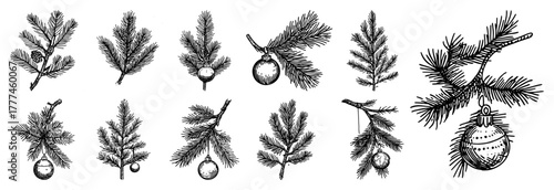 Big Set of Christmas Tree Branches Hand Drawn Sketch Vector Pine and Fir Doodle with Ornaments