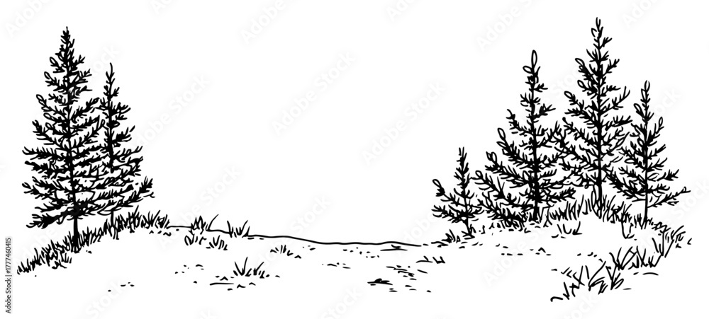 Fototapeta premium Winter Pine Tree Landscape Hand Drawn Forest Scene Vector Sketch