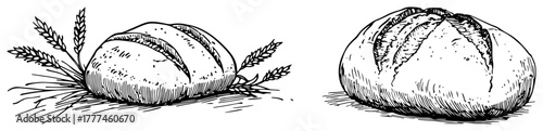 Loaf of Bread Hand Drawn Sketch Vintage Bakery Vector Illustration Set