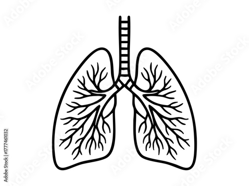 Human lungs outline black drawing simple vector showing bronchial structure, ideal for medical education, science posters, and respiratory health presentations.