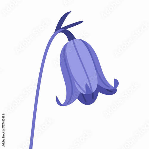 A single bluebell flower with a drooping bell-shaped bloom and a slender stem, depicted in a simple, illustrative style on a white background.