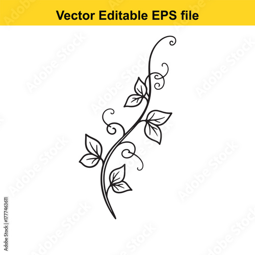 Black and white vine with leaves and curls