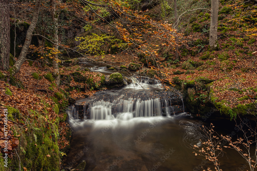 Obraz premium Autumn season in Route of the Waterfalls of Puente Ra, Sierra Cebollera Natural Park, Cameros, La Rioja, Spain