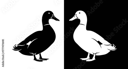 Contrasting Black and White Duck Silhouettes