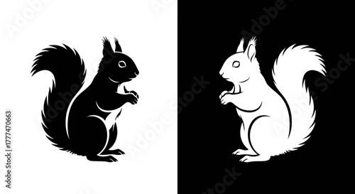 Contrasting Black and White Squirrels Silhouette Vector Illustration